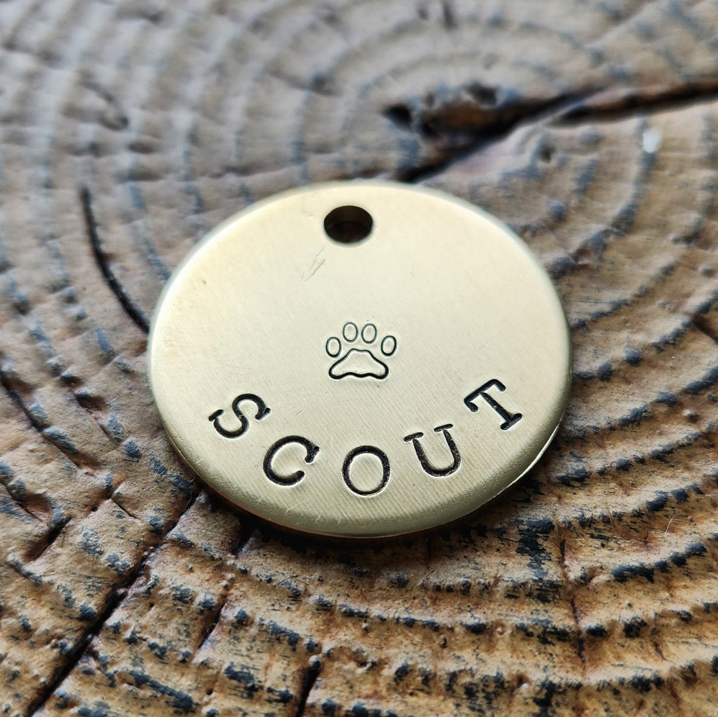 Simple Paw Print Tag